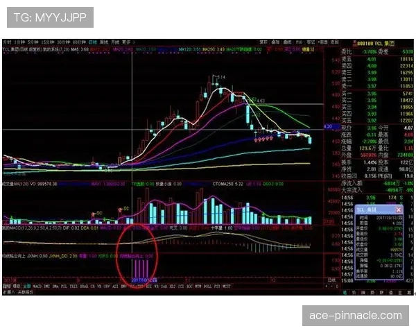 篮球中线规则最新解析：讲解中线位置与相关违例规则